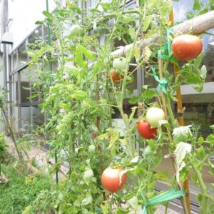 ブログサムネイル