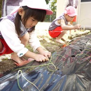 ブログサムネイル