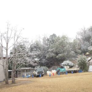 ブログサムネイル