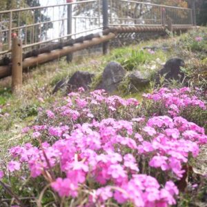 ブログサムネイル