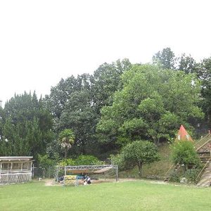 ブログサムネイル